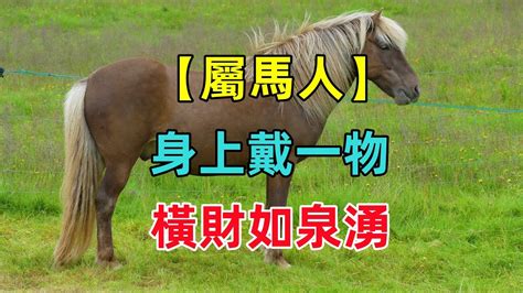 屬馬的人|【屬馬人】生肖屬馬人的一生運勢分析：性格、愛情、事業、財運。